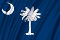 South Carolina waving flag illustration.