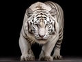 Ai Generated illustration Wildlife Concept of South China tiger