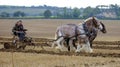 2021 South Coast Heavy Horse Association Show, Brockbridge, Hampsire