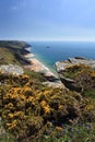 South Devon Coastline England