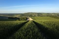 South Downs, Amberley, West Sussex