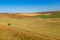 South Downs Landscape Royalty Free Stock Photo