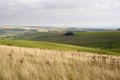 South Downs in Sussex. England Royalty Free Stock Photo