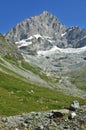 South Face of the Obergabelhorn