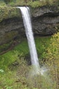 Image 3 South Falls flows off lava cliff, Silver Falls State Park, Oregon Royalty Free Stock Photo