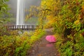 South Falls in Silver Falls State Park and an umbrella along the trail Royalty Free Stock Photo