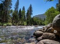 South Fork Kings River Royalty Free Stock Photo