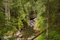 South fork Snoqualmie river below Franklin Falls. Washington. USA Royalty Free Stock Photo