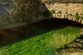 South of France, view on channel in small touristic Provencal town Isle-sur-la-Sorgue with emerald green waters of Sorgue river.