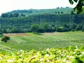 South German landscape with fields and vineyard in the background Royalty Free Stock Photo