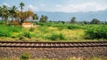 South india nature view at summer day from train