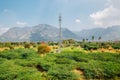 South india nature view at summer day