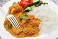 South Indian chicken curry Royalty Free Stock Photo