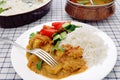 South Indian chicken curry table Royalty Free Stock Photo