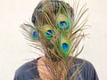 South Indian man covering his face with beautiful peacock feathers. Royalty Free Stock Photo