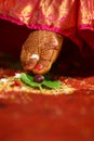 South Indian marriage ritual performed by bride. Saptapadi