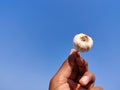 South Indian young man holding one small size Royalty Free Stock Photo