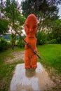 SOUTH ISLAND, NEW ZEALAND- MAY 22, 2017: Beautiful sculpture of pau turangapeke in Abel Tasman National park, New