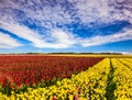 South of Israel, spring