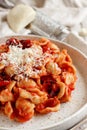 South italian  pasta orecchiette with tomato sauce and cacioricotta cheese Royalty Free Stock Photo