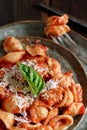 South italian  pasta orecchiette with tomato sauce and cacioricotta cheese Royalty Free Stock Photo