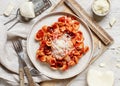 South italian  pasta orecchiette with tomato sauce and cacioricotta cheese Royalty Free Stock Photo