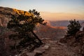 South Kaibab Trail Cuts Across The Canyon Wall Edge Leaving A Single Tree Alone To Grow Royalty Free Stock Photo