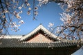 Jagyeongjeon Emperor palace South Korea.