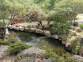 South korean buddhist temple