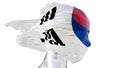 Dynamic Swirls of the South Korean Flag in Abstract Representation Royalty Free Stock Photo