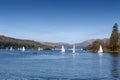 Sailboats racing at a regatta event on Lake Windermere in the Lake District National Park, North West England, UK