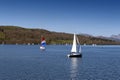 Sailboats racing at a regatta event on Lake Windermere in the Lake District National Park, North West England, UK