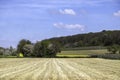 South Limburg is fantastic in spring because of the palette of flowering crops and trees that color the landscape. Royalty Free Stock Photo