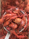 South Louisiana Crawfish Royalty Free Stock Photo