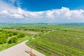 South Moravia, Czech republic: Vineyard fields on agriculture land. Countryside meadow, vineyard plant and beautiful landscape nea Royalty Free Stock Photo