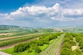 South Moravia, Czech republic: Vineyard fields on agriculture land. Countryside meadow, vineyard plant and beautiful landscape nea Royalty Free Stock Photo