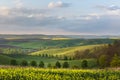 South Moravia landscape and farmland during sunset