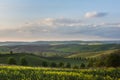 South Moravia landscape and farmland during sunset