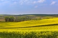 South Moravia landscape and fields Royalty Free Stock Photo