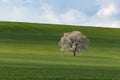 South Moravian fields, Czech Republic fields, moravian hills Royalty Free Stock Photo