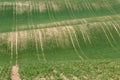 South Moravian fields, Czech Republic fields, moravian hills Royalty Free Stock Photo