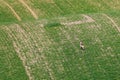 South Moravian fields, Czech Republic fields, moravian hills Royalty Free Stock Photo