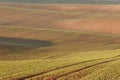 South Moravian fields, Czech Republic fields, moravian hills Royalty Free Stock Photo