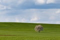 South Moravian fields, Czech Republic fields, moravian hills Royalty Free Stock Photo