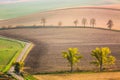 South Moravian landscape with trees and road. Wavy fields in Czech Republic. Czech Tuscany. Nature background. Royalty Free Stock Photo