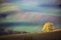 South Moravian landscape with trees and wavy green fields in autumn. Wavy fields in Czech Republic. Czech Tuscany. Nature backgrou