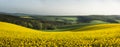 South Moravian panorama with rapeseed fields, forests, and hills Royalty Free Stock Photo