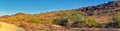 South Mountain Park and Preserve, Pima Canyon Hiking Trail, Phoenix, Southern Arizona desert. Royalty Free Stock Photo