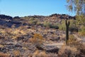 South Mountain Park and Preserve, Pima Canyon Hiking Trail, Phoenix, Southern Arizona desert. Royalty Free Stock Photo