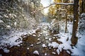 South mountain stream in winter woods Royalty Free Stock Photo